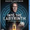 Into the Labyrinth